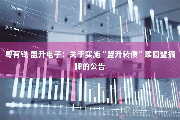 粤有钱 盟升电子：关于实施“盟升转债”赎回暨摘牌的公告