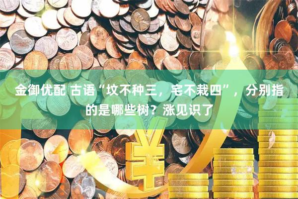 金御优配 古语“坟不种三，宅不栽四”，分别指的是哪些树？涨见识了