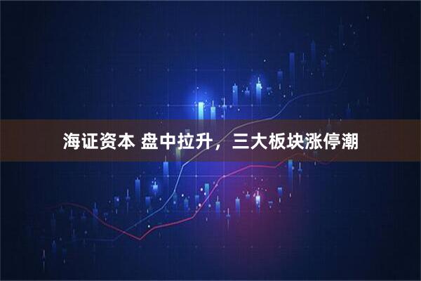 海证资本 盘中拉升，三大板块涨停潮
