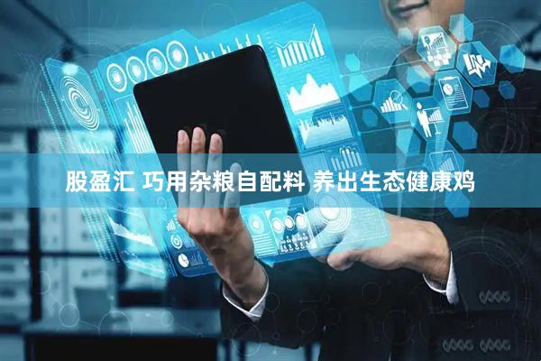股盈汇 巧用杂粮自配料 养出生态健康鸡