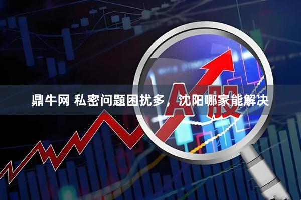 鼎牛网 私密问题困扰多，沈阳哪家能解决