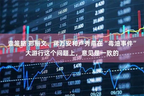 壹策略 郑丽文、蒋万安和卢秀燕在“毒油事件”大游行这个问题上，意见是一致的